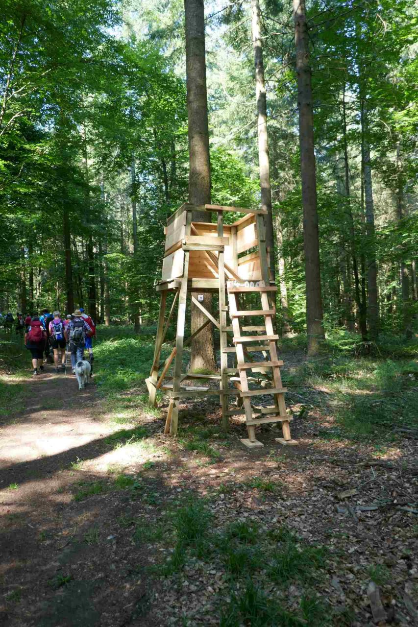 09 unterwegs im hohen Nordosten der Schwäbischen Alb